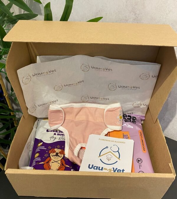 Florzinha de Algodão