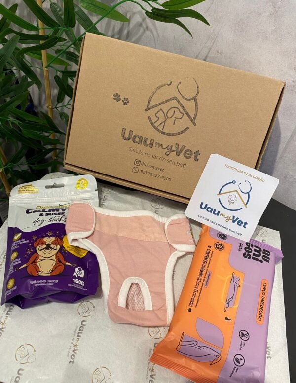 Florzinha de Algodão